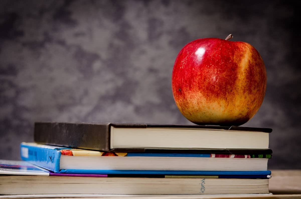single apple on a pile of books